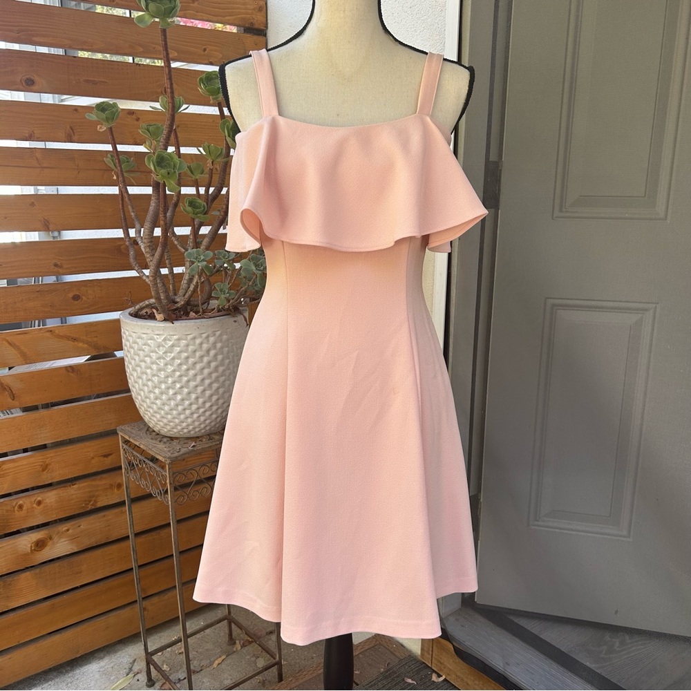 Eliza J Light Pink Fit and Flare Skater Dress Ruffle Size 4